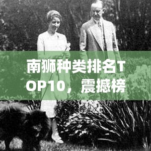 南獅種類排名TOP10，震撼榜單，不容錯過！