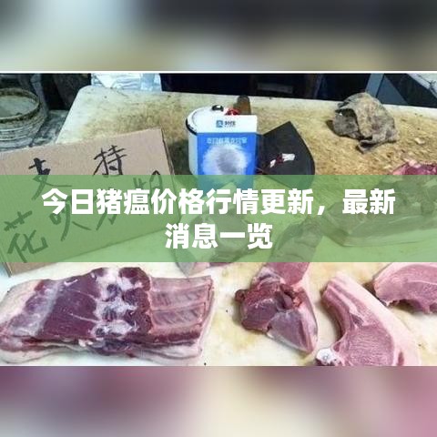 今日豬瘟價(jià)格行情更新，最新消息一覽