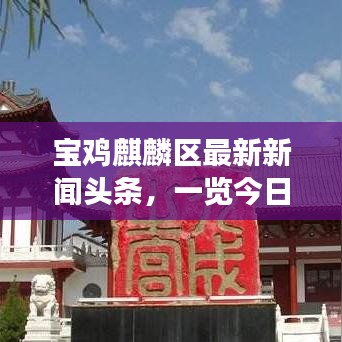 寶雞麒麟?yún)^(qū)最新新聞頭條，一覽今日熱點(diǎn)事件