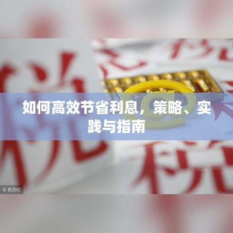 如何高效節(jié)省利息，策略、實(shí)踐與指南