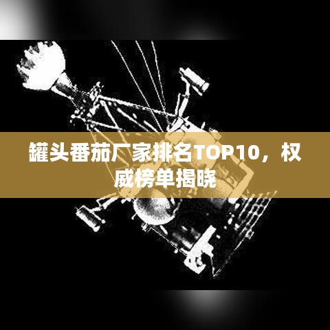 罐頭番茄廠家排名TOP10，權(quán)威榜單揭曉
