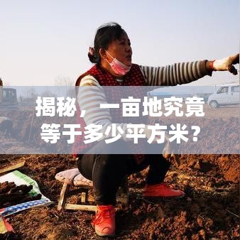 揭秘，一畝地究竟等于多少平方米？土地面積轉(zhuǎn)換全解析！