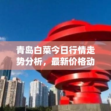 青島白菜今日行情走勢(shì)分析，最新價(jià)格動(dòng)態(tài)解讀