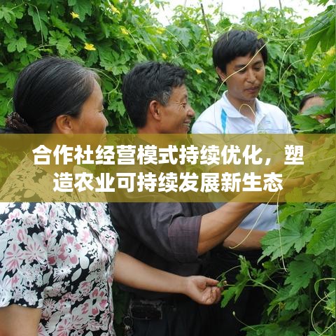 合作社經(jīng)營(yíng)模式持續(xù)優(yōu)化，塑造農(nóng)業(yè)可持續(xù)發(fā)展新生態(tài)