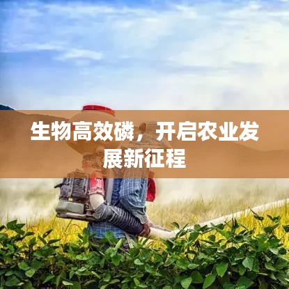 生物高效磷，開啟農(nóng)業(yè)發(fā)展新征程