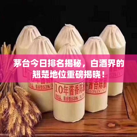 茅臺(tái)今日排名揭秘，白酒界的翹楚地位重磅揭曉！