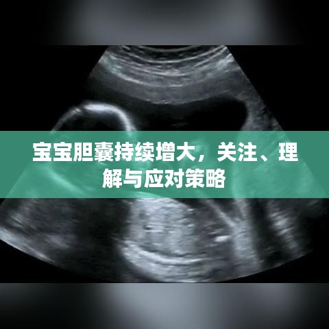 寶寶膽囊持續(xù)增大，關(guān)注、理解與應(yīng)對策略