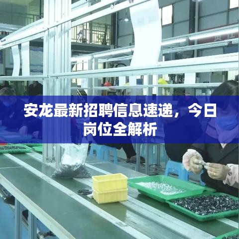 安龍最新招聘信息速遞，今日崗位全解析