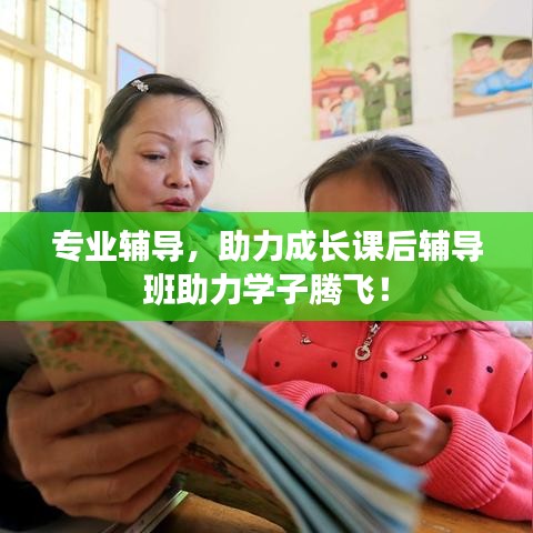 專(zhuān)業(yè)輔導(dǎo)，助力成長(zhǎng)課后輔導(dǎo)班助力學(xué)子騰飛！