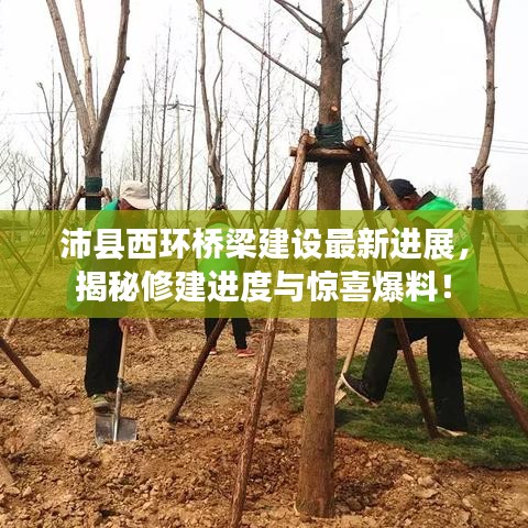 沛縣西環(huán)橋梁建設(shè)最新進(jìn)展，揭秘修建進(jìn)度與驚喜爆料！