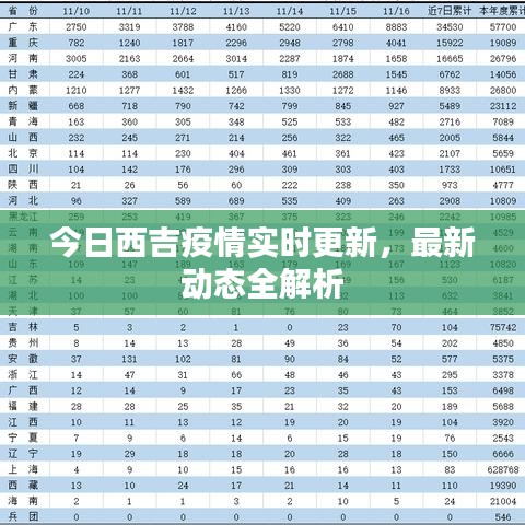 今日西吉疫情實時更新，最新動態(tài)全解析