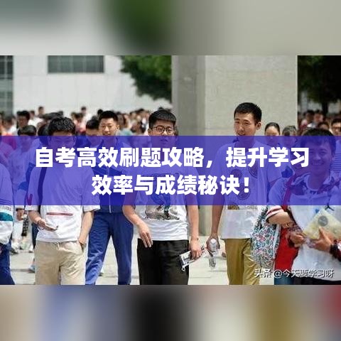 自考高效刷題攻略，提升學(xué)習(xí)效率與成績秘訣！