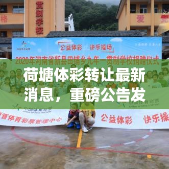 荷塘體彩轉讓最新消息，重磅公告發(fā)布！