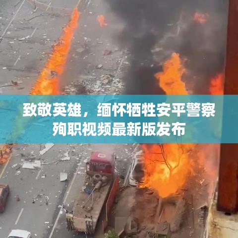 真獨(dú)簡(jiǎn)貴 第2頁(yè)