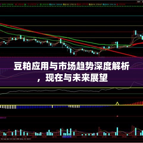 豆粕應(yīng)用與市場趨勢深度解析，現(xiàn)在與未來展望