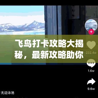 飛鳥打卡攻略大揭秘，最新攻略助你暢游天際！