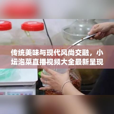 傳統(tǒng)美味與現(xiàn)代風(fēng)尚交融，小壇泡菜直播視頻大全最新呈現(xiàn)
