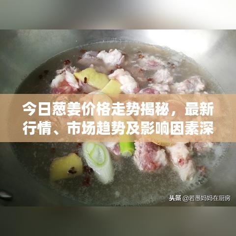 今日蔥姜價(jià)格走勢(shì)揭秘，最新行情、市場(chǎng)趨勢(shì)及影響因素深度解析