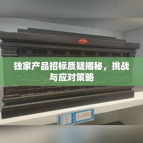 獨家產(chǎn)品招標質(zhì)疑揭秘，挑戰(zhàn)與應(yīng)對策略